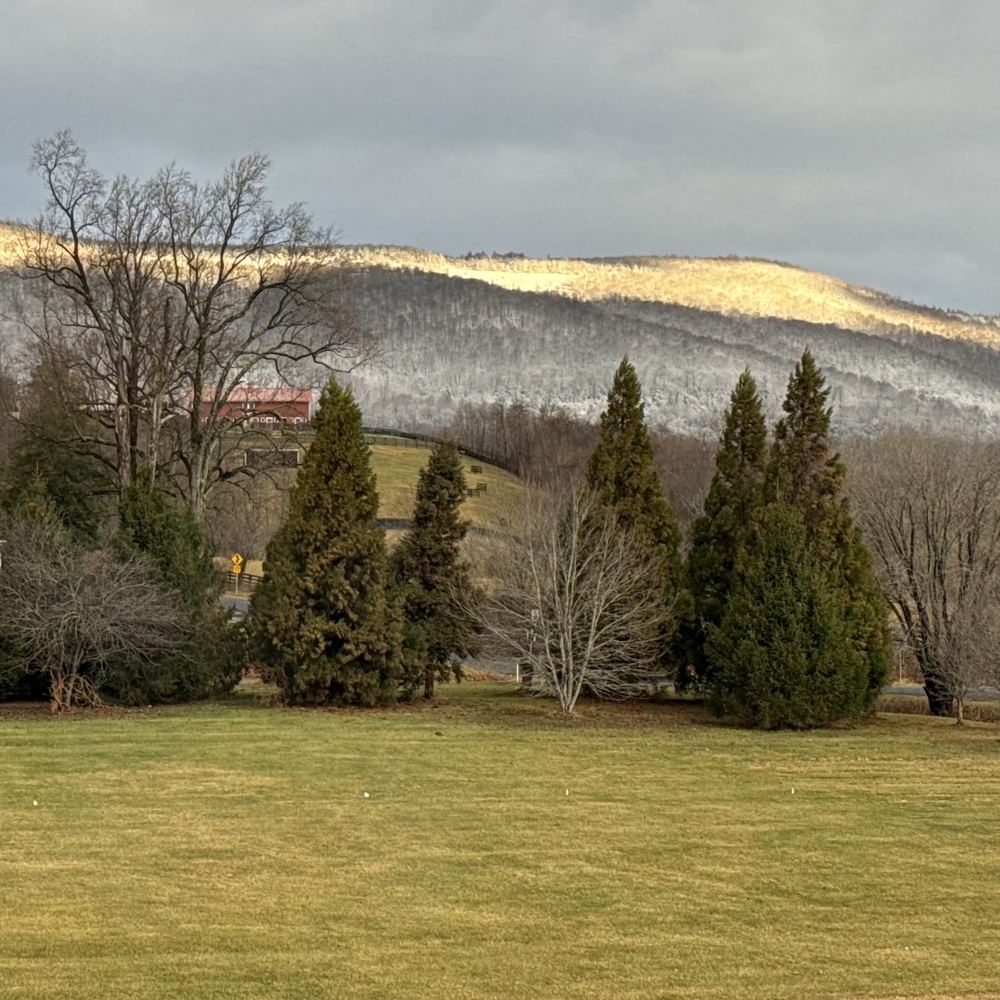 Fall and winter at Little Afton Flowers