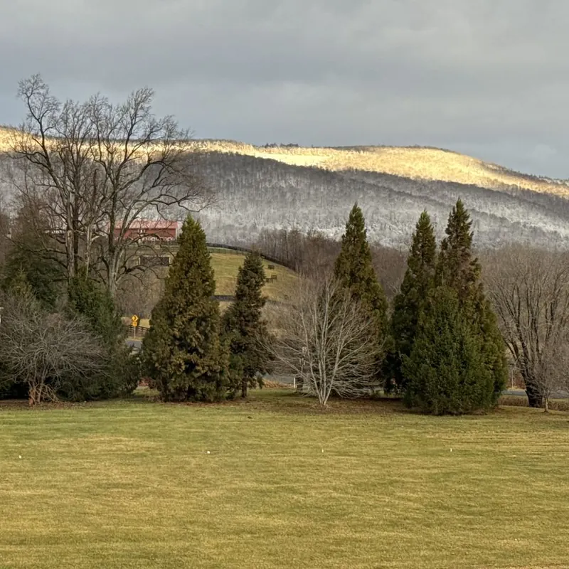 Blue Ridge Mountains in late fall at Little Afton Flowers