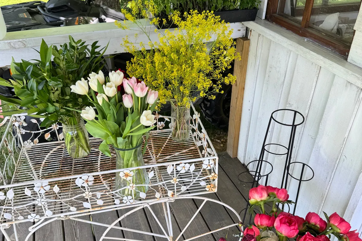 Tulips, peonies and snapdragons on the porch cart outside the flower house