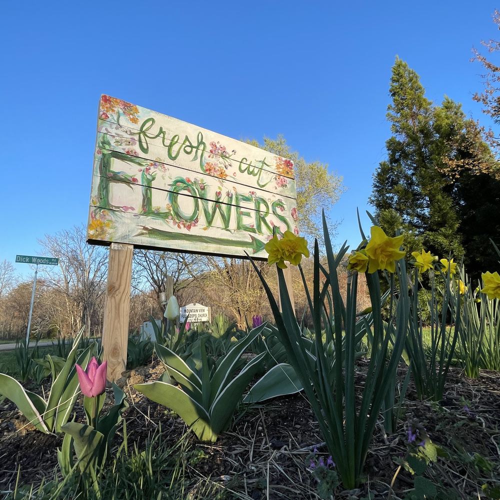 Spring flowers at Little Afton Flowers