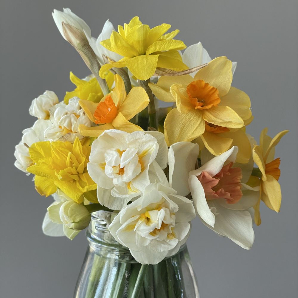 Spring flowers