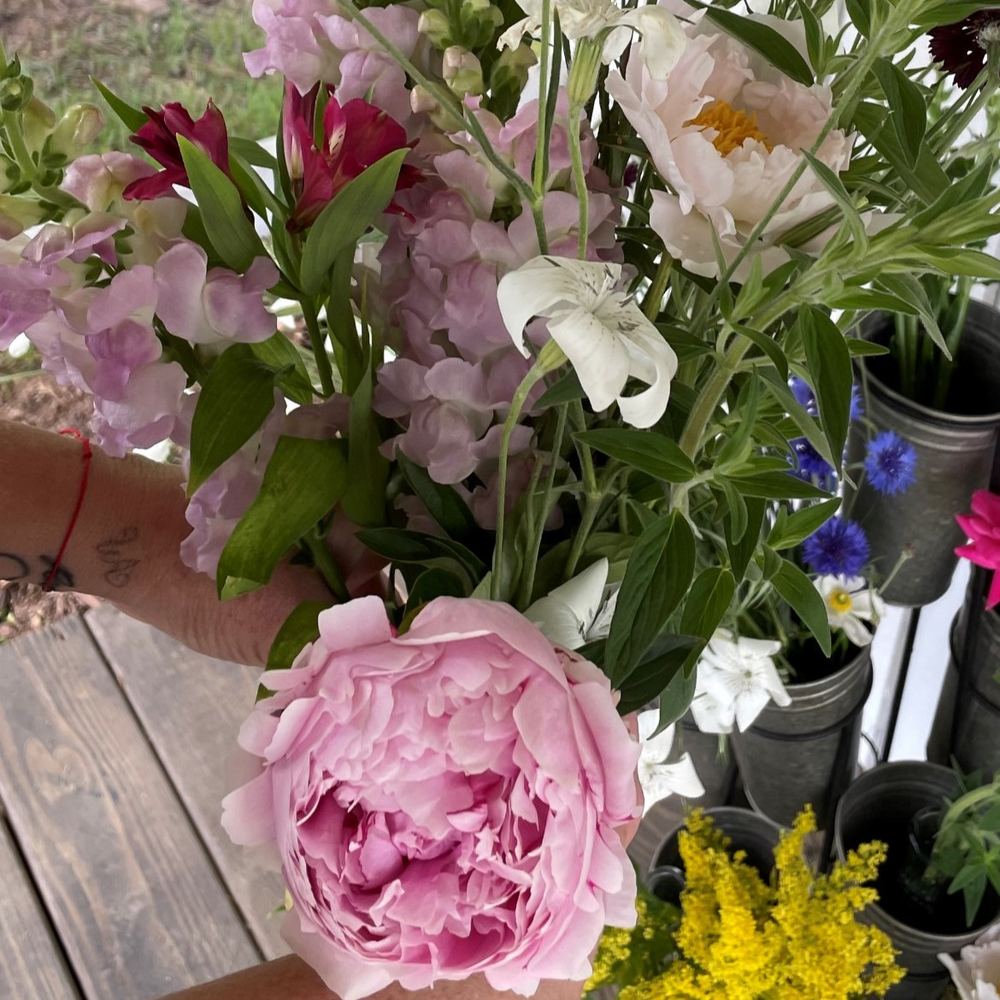 Spring flowers at Little Afton Flowers