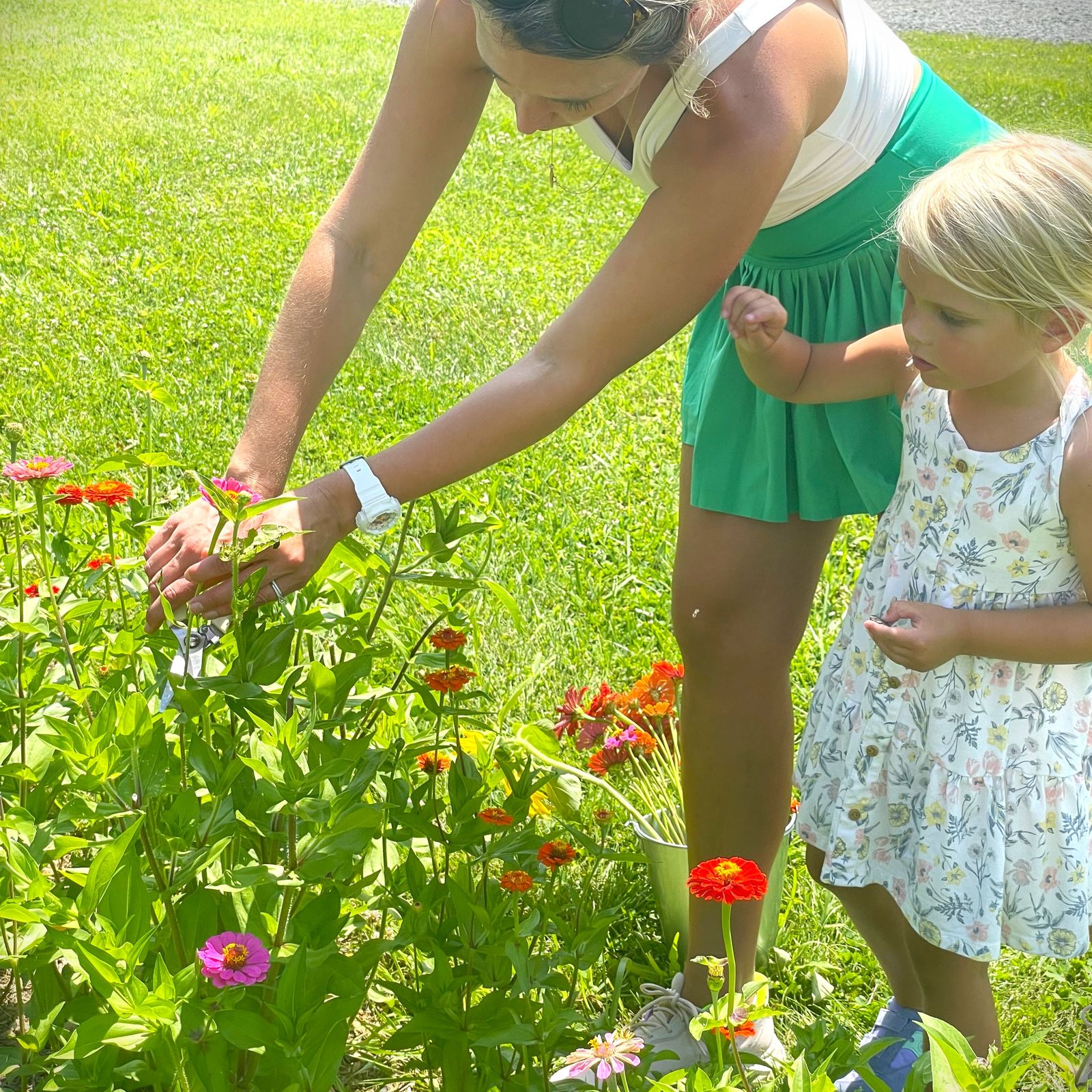 Picking flowers at Little Afton Flowers